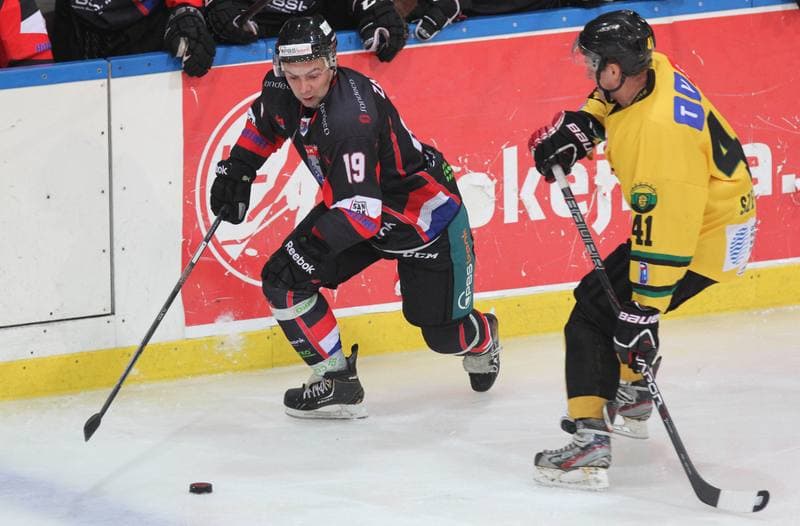 Ice Hockey. Polska Hokej Liga. HC GKS Katowice - Ciarko KH Sanok. 17.01.2014