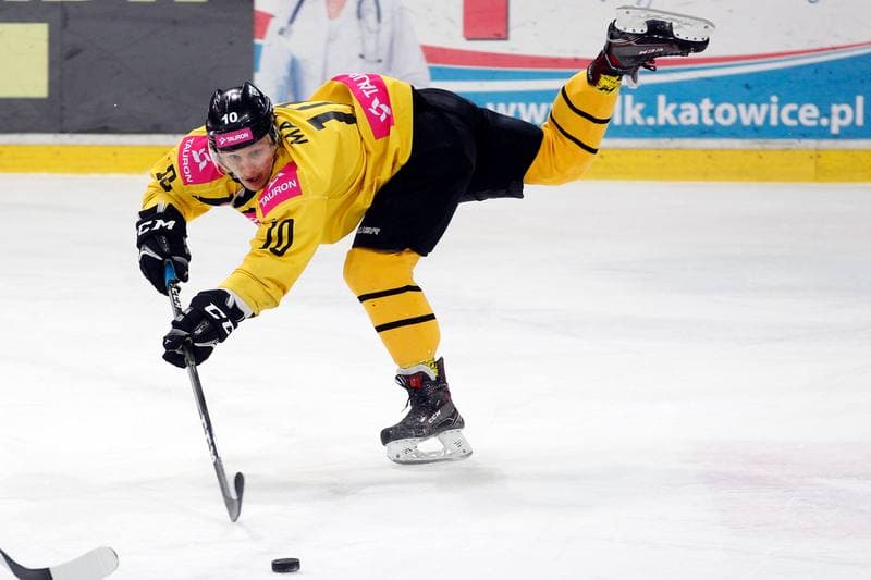 Ice Hockey. Tauron Hokej Liga. Tauron KH GKS Katowice - PGE Orlik Opole. 25.02.2018