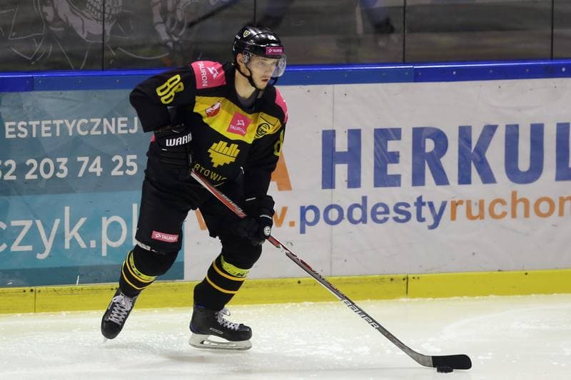 Ice Hockey. Tauron Hokej Liga. Naprzod Janow - Tauron KH GKS Katowice. 24.09.2017