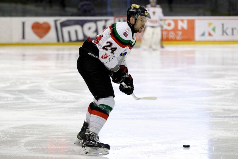 Ice Hockey. Polska Hokej Liga. GKS Tychy - Podhale Nowy Targ. 29.01.2016