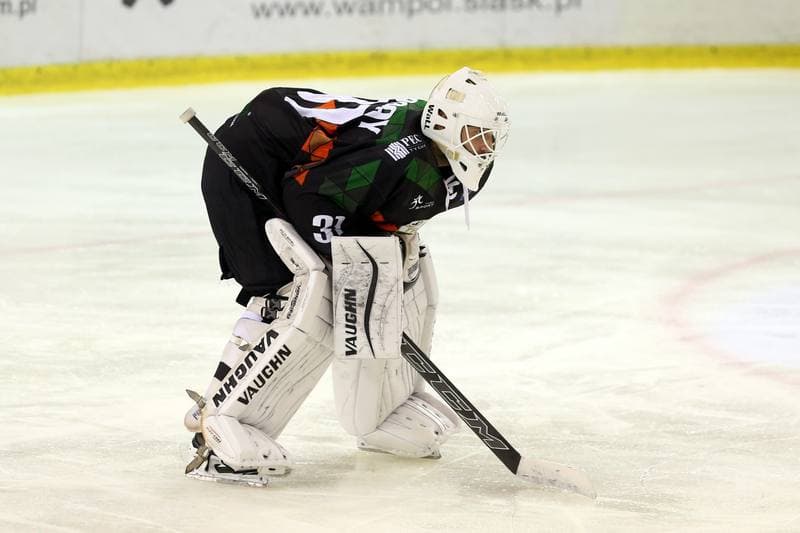 Ice Hockey. Polska Hokej Liga. Naprzod Janow - GKS Tychy. 15.10.2017