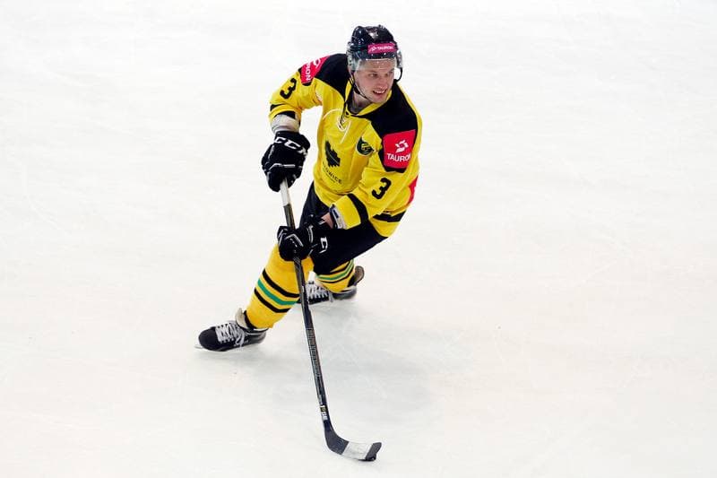 Ice Hockey. Tauron KH GKS Katowice - Byki Tauron. 01.04.2017