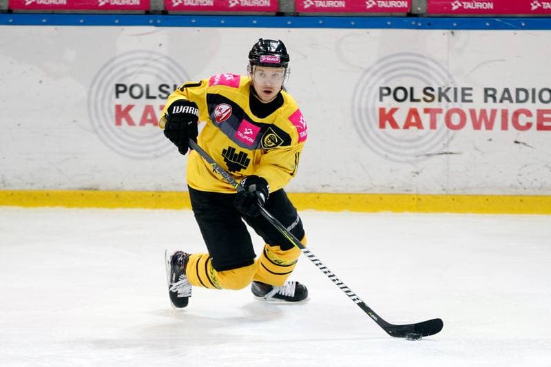 Ice Hockey. Tauron Hokej Liga. Tauron KH GKS Katowice - Anteo Naprzod Janow. 02.02.2018
