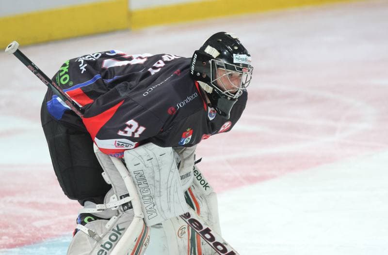 Ice Hockey. Polska Hokej Liga. HC GKS Katowice - Ciarko KH Sanok. 17.01.2014