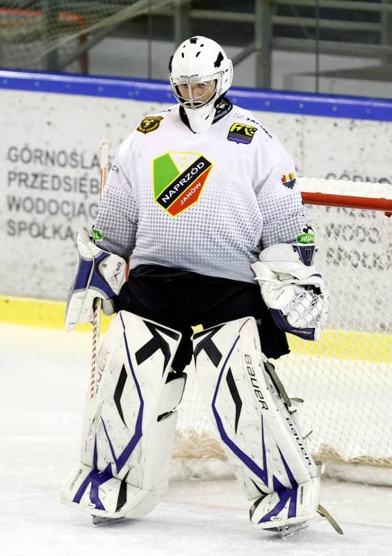 Ice Hockey. Tauron Hokej Liga. Naprzod Janow - Podhale Nowy Targ. 14.11.2014