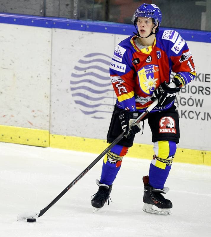 Ice Hockey. Tauron Hokej Liga. Naprzod Janow - Podhale Nowy Targ. 14.11.2014