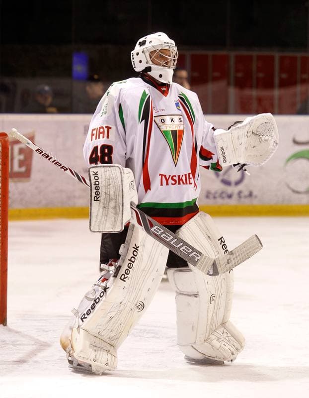 Ice Hockey. Polska Hokej Liga. GKS Tychy - Ciarko KH Sanok. 23.01.2015