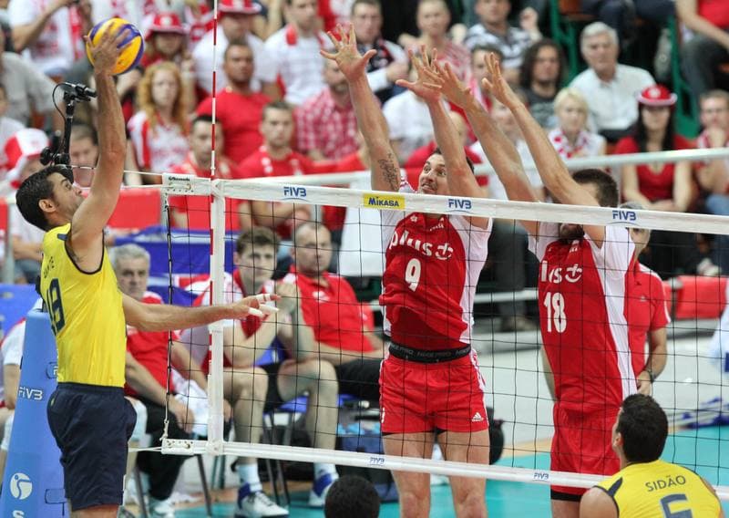 Volleyball. World League. Poland - Brazil. 30.06.2011