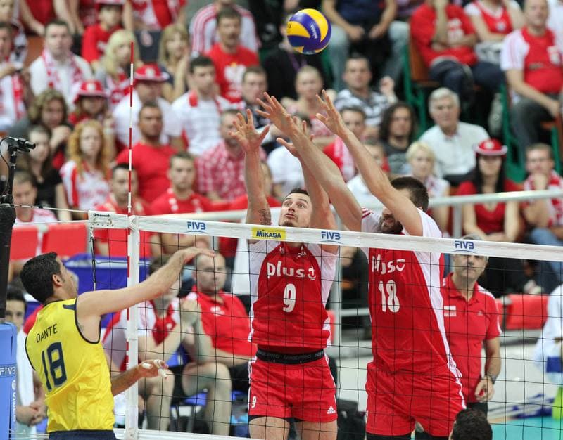 Volleyball. World League. Poland - Brazil. 30.06.2011