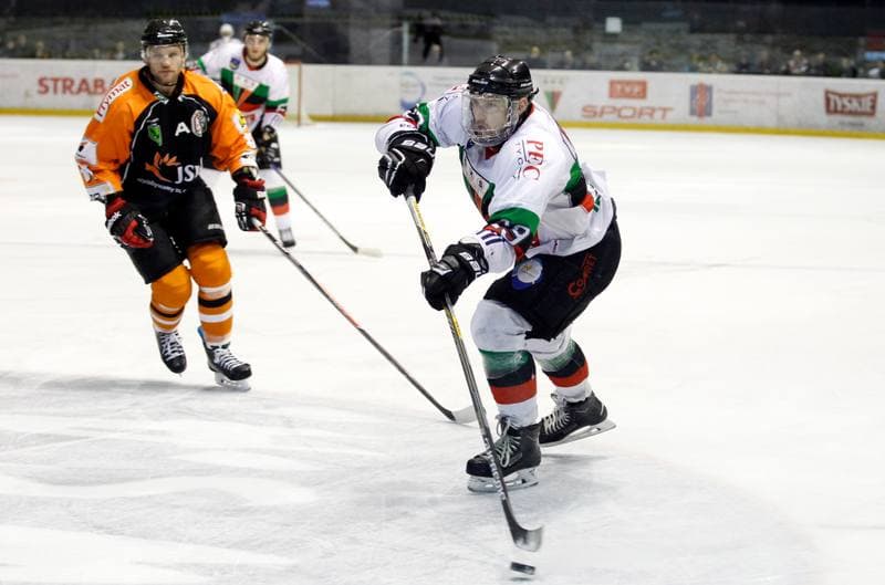 Ice Hockey. Polska Hokej Liga. GKS Tychy - JKH GKS Jastrzebie. 30.11.2014