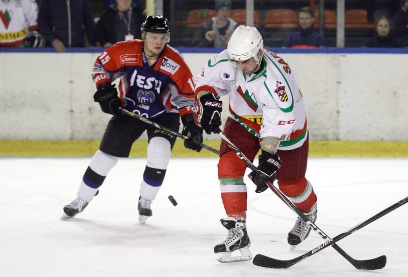 Ice Hockey. I Liga. Zaglebie Sosnowiec - Nesta Torun. 22.03.2015