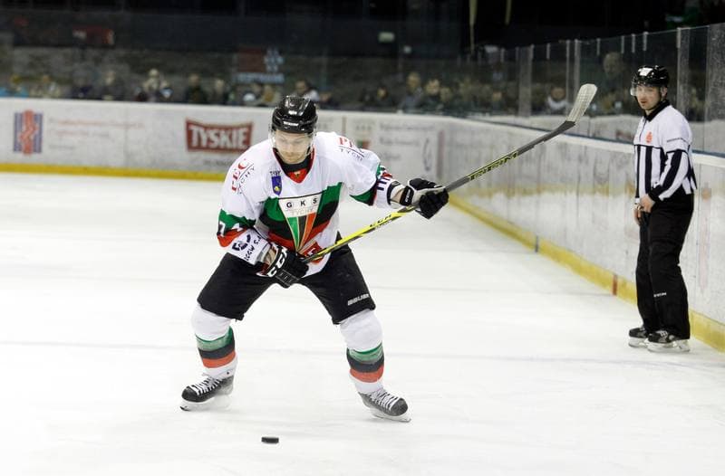 Ice Hockey. Polska Hokej Liga. GKS Tychy - JKH GKS Jastrzebie. 30.11.2014