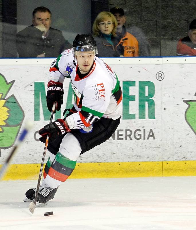 Ice Hockey. Polska Hokej Liga. GKS Tychy - JKH GKS Jastrzebie. 30.11.2014