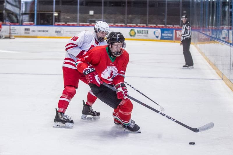 Ice Hockey. Poland U20. Poland - Hungary. 08.04.2021