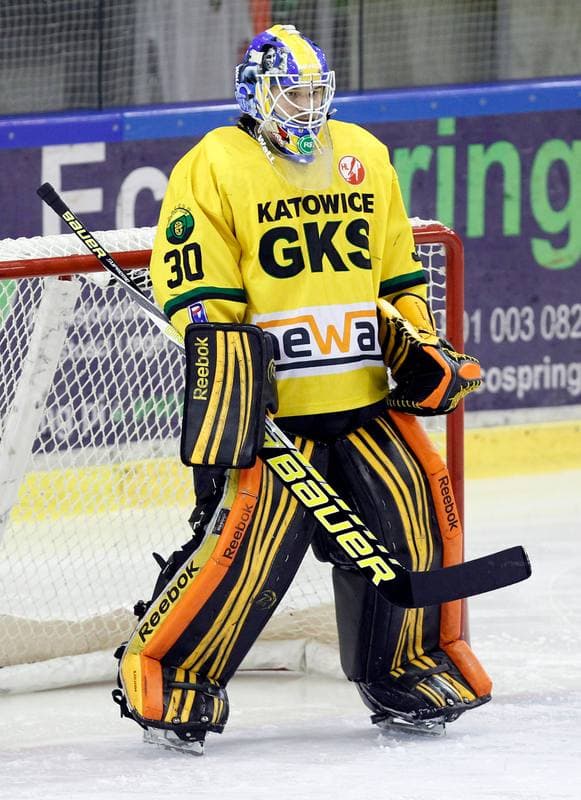 Ice Hockey. Polska Hokej Liga. HC GKS Katowice - Ciarko PBS Bank Sanok. 02.11.2014