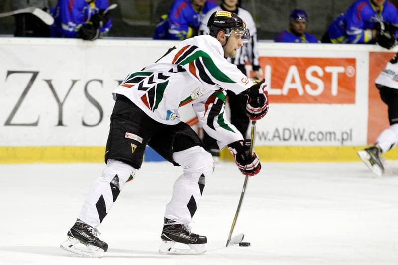 Ice Hockey. Polska Hokej Liga. GKS Tychy - Orlik Opole. 13.01.2017
