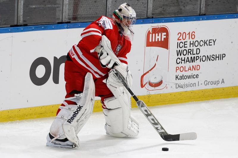 Ice Hockey. EIHC. Polska - Kazachstan. 18.12.2015