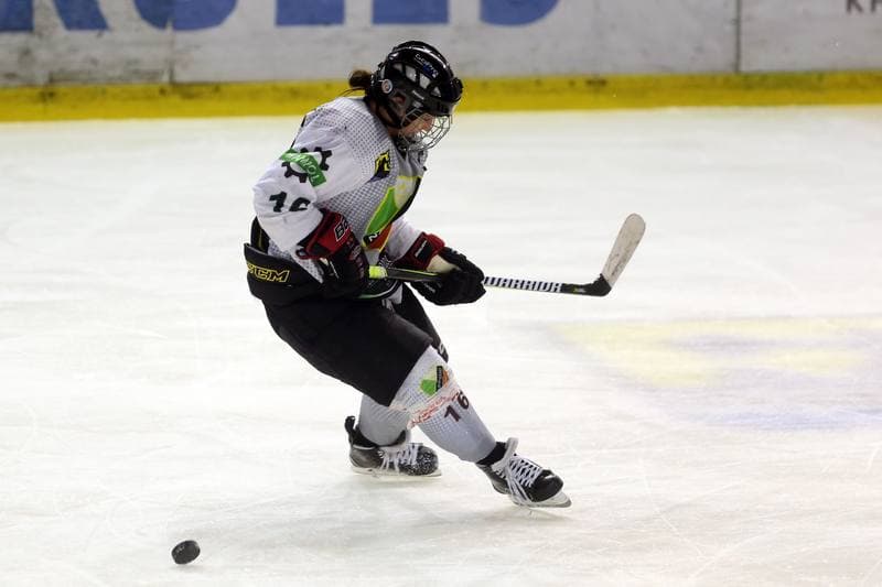 Ice Hockey. PLHK. Naprzod Janow - Unia Oswiecim. 23.09.2017