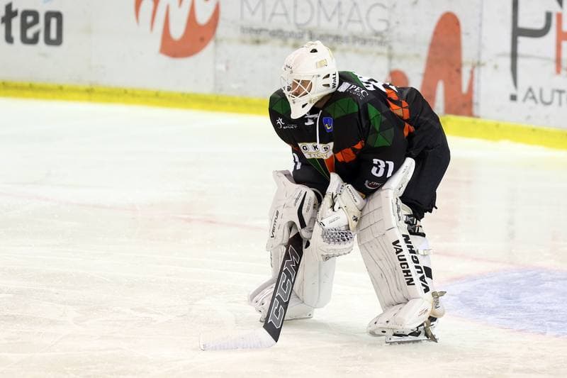 Ice Hockey. Polska Hokej Liga. Naprzod Janow - GKS Tychy. 15.10.2017