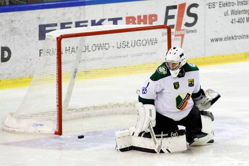 Ice Hockey. Polska Hokej Liga. Anteo Naprzod Janow - JKH GKS Jastrzebie. 03.12.2017