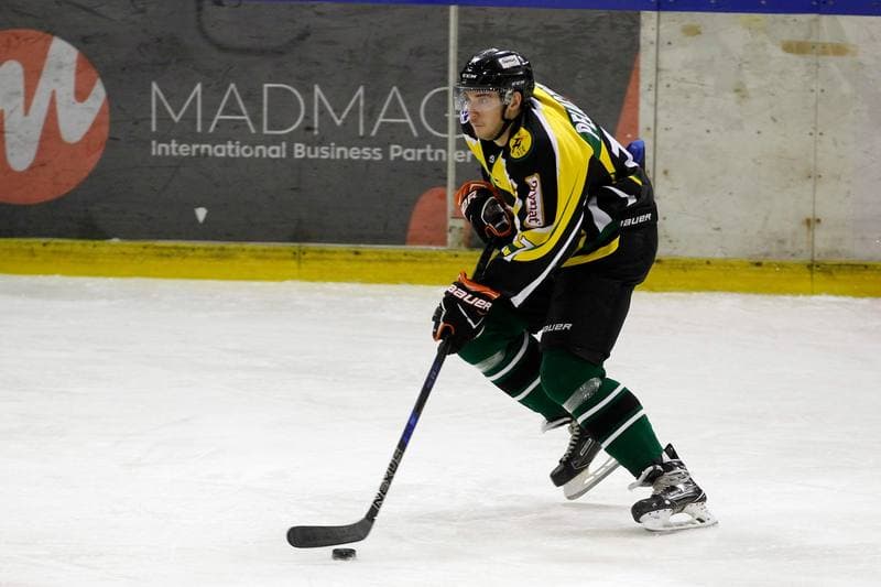 Ice Hockey. Polska Hokej Liga. Anteo Naprzod Janow - JKH GKS Jastrzebie. 03.12.2017