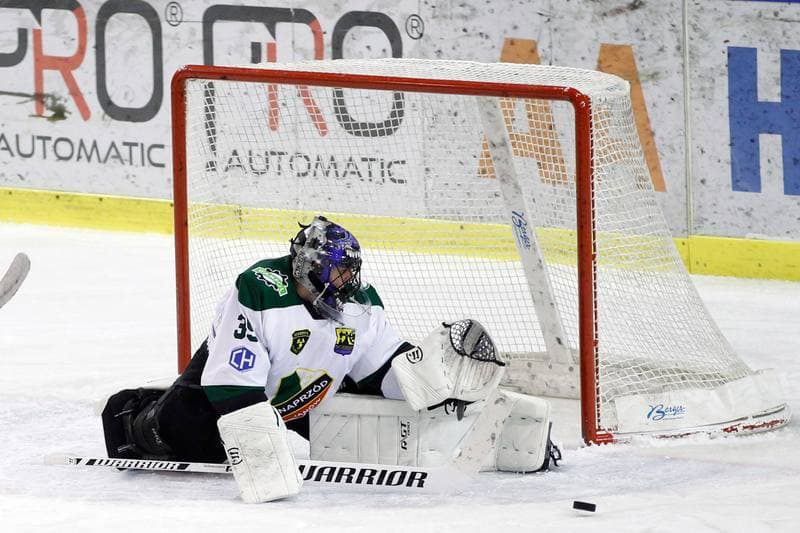 Ice Hockey. Polska Hokej Liga. Anteo Naprzod Janow - GKS Tychy. 26.01.2018