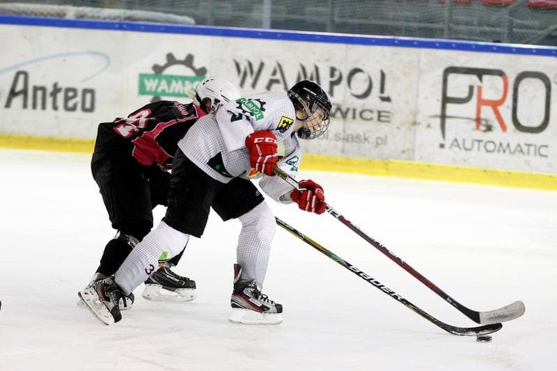 Ice Hockey. PLHK. Naprzod Janow - Kozice Poznan. 11.02.2018