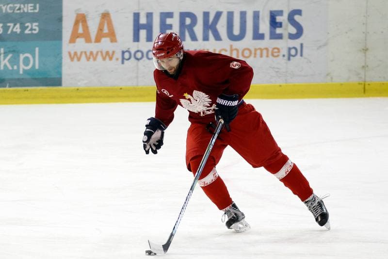 Ice Hockey. Poland national team. Training. 13.02.2018