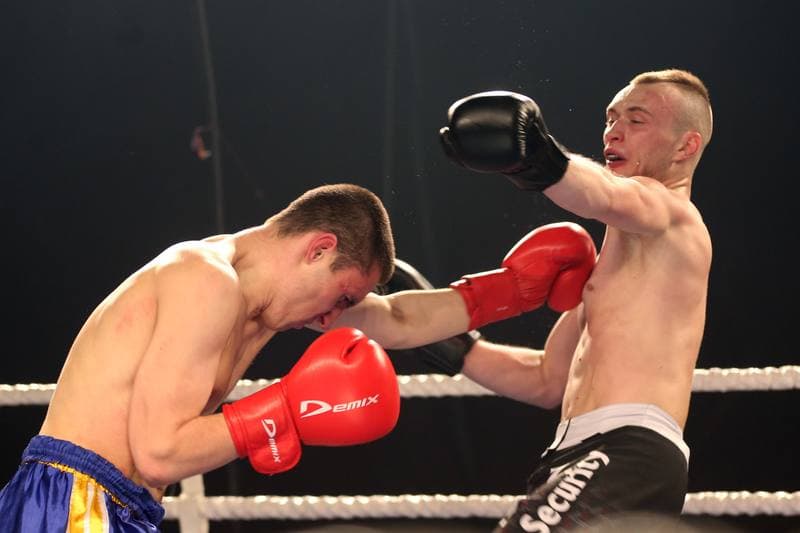 Kickboxing. WKN Challenge. Gala. 12.05.2017