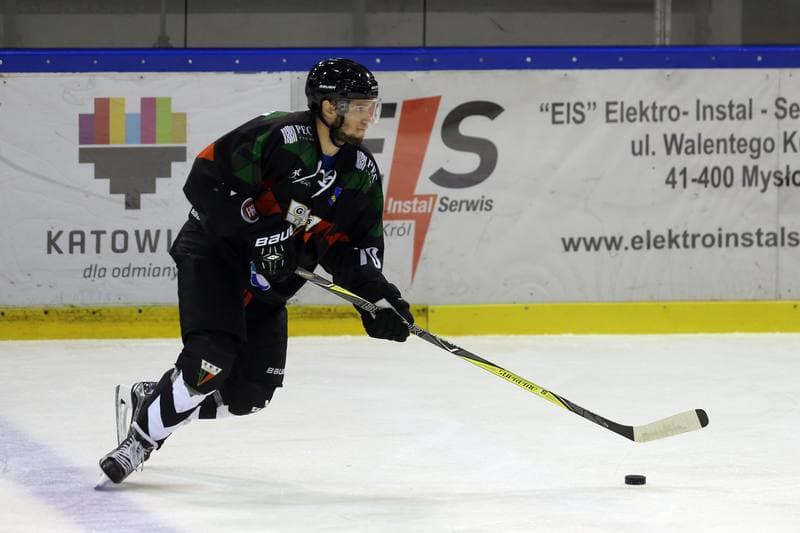 Ice Hockey. Polska Hokej Liga. Naprzod Janow - GKS Tychy. 15.10.2017