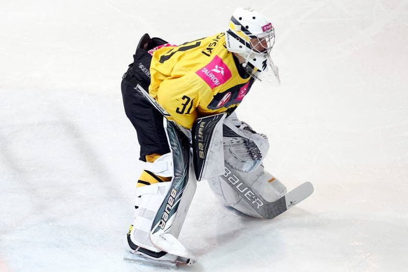 Ice Hockey. Tauron Hokej Liga. Tauron KH GKS Katowice - Anteo Naprzod Janow. 03.11.2017