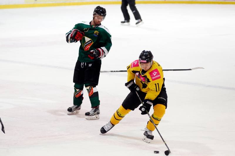 Ice Hockey. Tauron Hokej Liga. Tauron KH GKS Katowice - Anteo Naprzod Janow. 02.02.2018