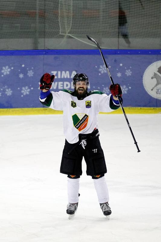 Ice Hockey. Polska Hokej Liga. Anteo Naprzod Janow - PGE Orlik Opole. 20.02.2018