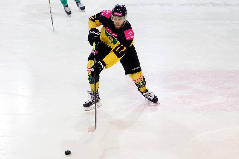 Ice Hockey. Tauron Hokej Liga. Tauron KH GKS Katowice - JKH GKS Jastrzebie. 16.01.2019