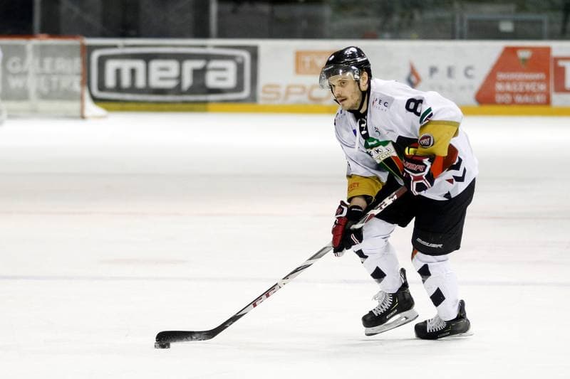 Ice Hockey. Polska Hokej Liga. GKS Tychy - TatrySki Podhale Nowy Targ. 22.01.2019