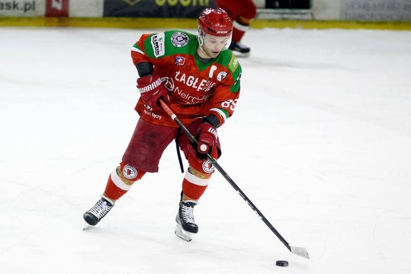 Ice Hockey. Polska Hokej Liga. Naprzod Janow - Zaglebie Sosnowiec. 23.02.2019
