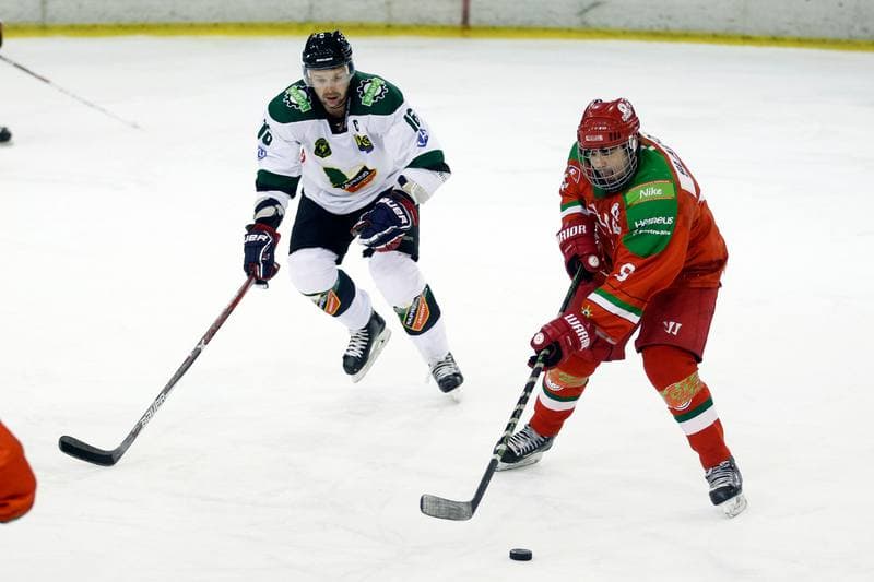 Ice Hockey. Polska Hokej Liga. Naprzod Janow - Zaglebie Sosnowiec. 23.02.2019