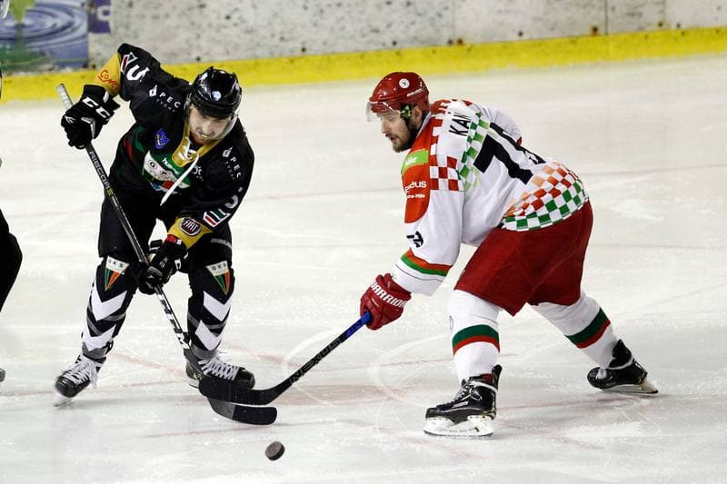 Ice Hockey. Polska Hokej Liga. Zaglebie Sosnowiec - GKS Tychy. 22.12.2018