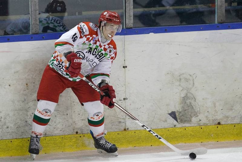 Ice Hockey. Polska Hokej Liga. Zaglebie Sosnowiec - MH Automatyka Gdansk. 02.01.2019