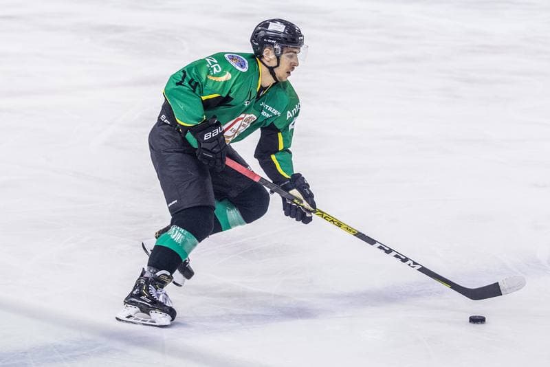 Ice Hockey. PHL. Naprzod Janow - JKH GKS Jastrzebie. 22.10.2019