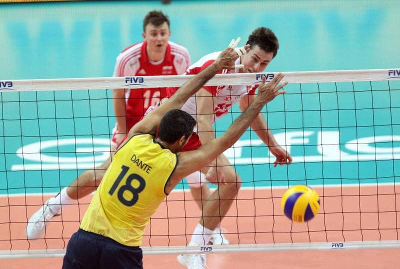 Volleyball. World League. Poland - Brazil. 03.06.2012