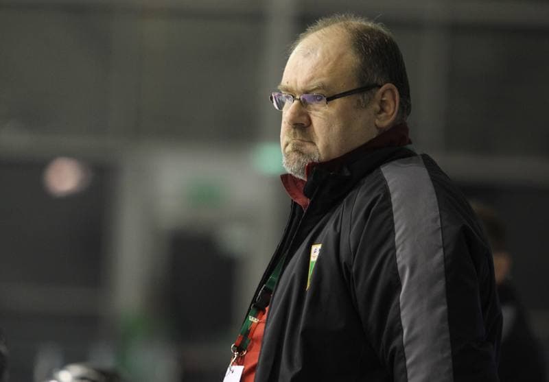 Ice Hockey. Polska Liga Hokejowa. GKS Tychy - Comarch Cracovia Krakow. 15.02.2013