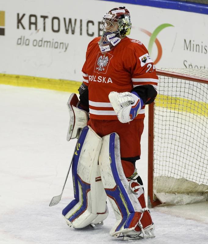 Ice Hockey. Euro Ice Hockey Challenge. Poland - Austria. 07.11.2015