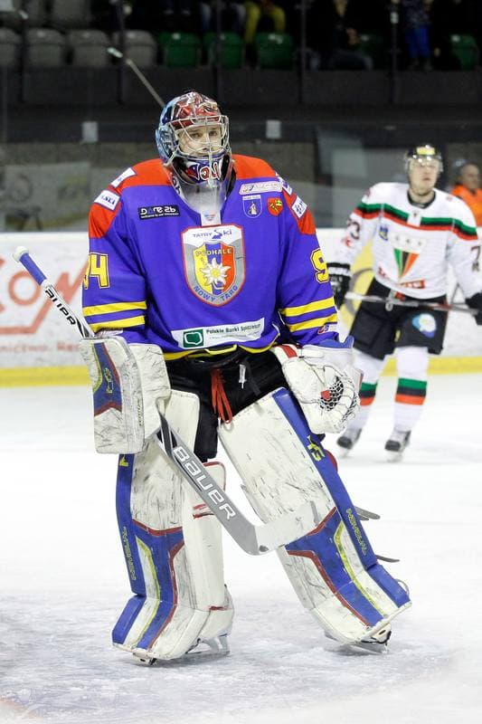 Ice Hockey. Polska Hokej Liga. GKS Tychy - Podhale Nowy Targ. 29.01.2016