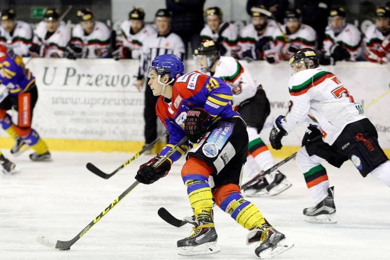 Ice Hockey. Polska Hokej Liga. GKS Tychy - Podhale Nowy Targ. 29.01.2016