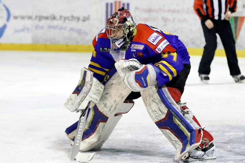 Ice Hockey. Polska Hokej Liga. GKS Tychy - Podhale Nowy Targ. 29.01.2016
