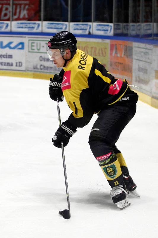 Ice Hockey. Polska Hokej Liga. Unia Oswiecim - Tauron KH GKS Katowice. 24.02.2019