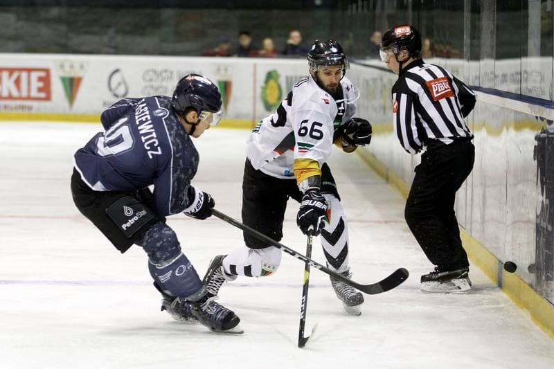 Ice Hockey. Polska Hokej Liga. GKS Tychy - MH Automatyka Gdansk. 28.02.2019