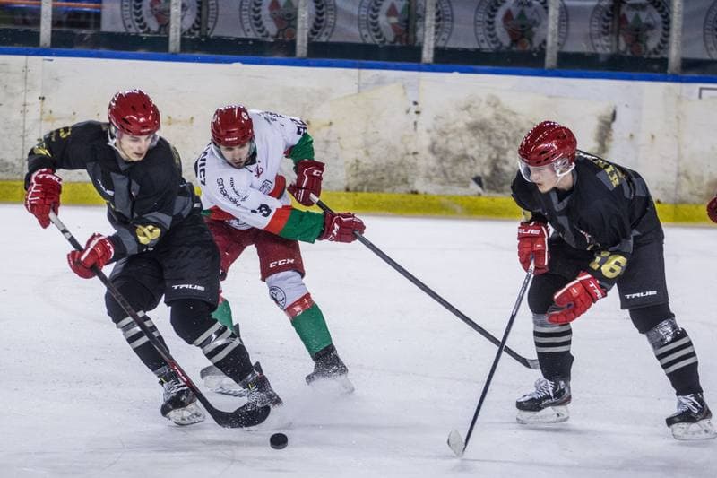 Ice Hockey. PHL. Zaglebie Sosnowiec - Comarch Cracovia. 07.12.2021