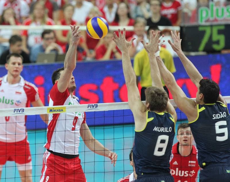 Volleyball. World League. Poland - Brazil. 29.06.2011
